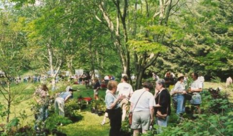 Native Plant Sale-September 14!